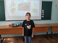 В шиханском детском лагере прошла викторина о полезных растениях