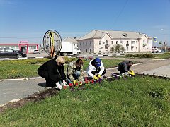 В Шиханах стартовала высадка цветов