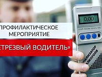 Внимание! Профилактическое мероприятие "Нетрезвый водитель"
