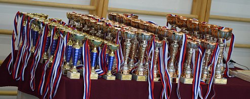 Соревнования по карате, посвятили памяти Героя России Александра Потапова