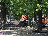 В шиханском парке приступили к благоустройству «детской» зоны
