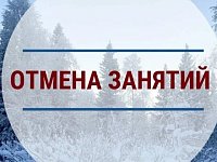 Из-за мороза в шиханской школе отменили занятия для 1-6 классов