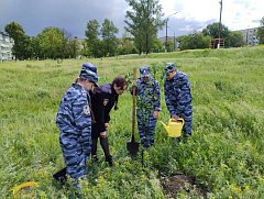 Сад памяти в школе пополнился новым саженцем яблони