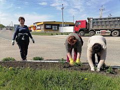 В Шиханах стартовала высадка цветов