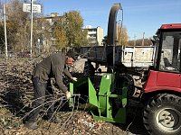 Превращаем ветки в пользу для города! 