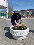 В Шиханах стартовала высадка цветов