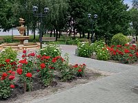 В Шиханах выберут лучший двор, придомовую территорию и лучшее оформление цветника