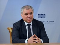 Ответ Вячеслава Володина Юлии Клёкнер