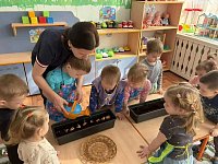 «Огород на окошке» посадка лука в детском саду «Звёздочка»