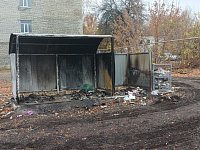 Контейнерная площадка стала жертвой поджога