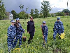 Сад памяти в школе пополнился новым саженцем яблони