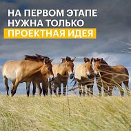 Саратовцев приглашают принять участие в конкурсе экологических и природоохранных проектов